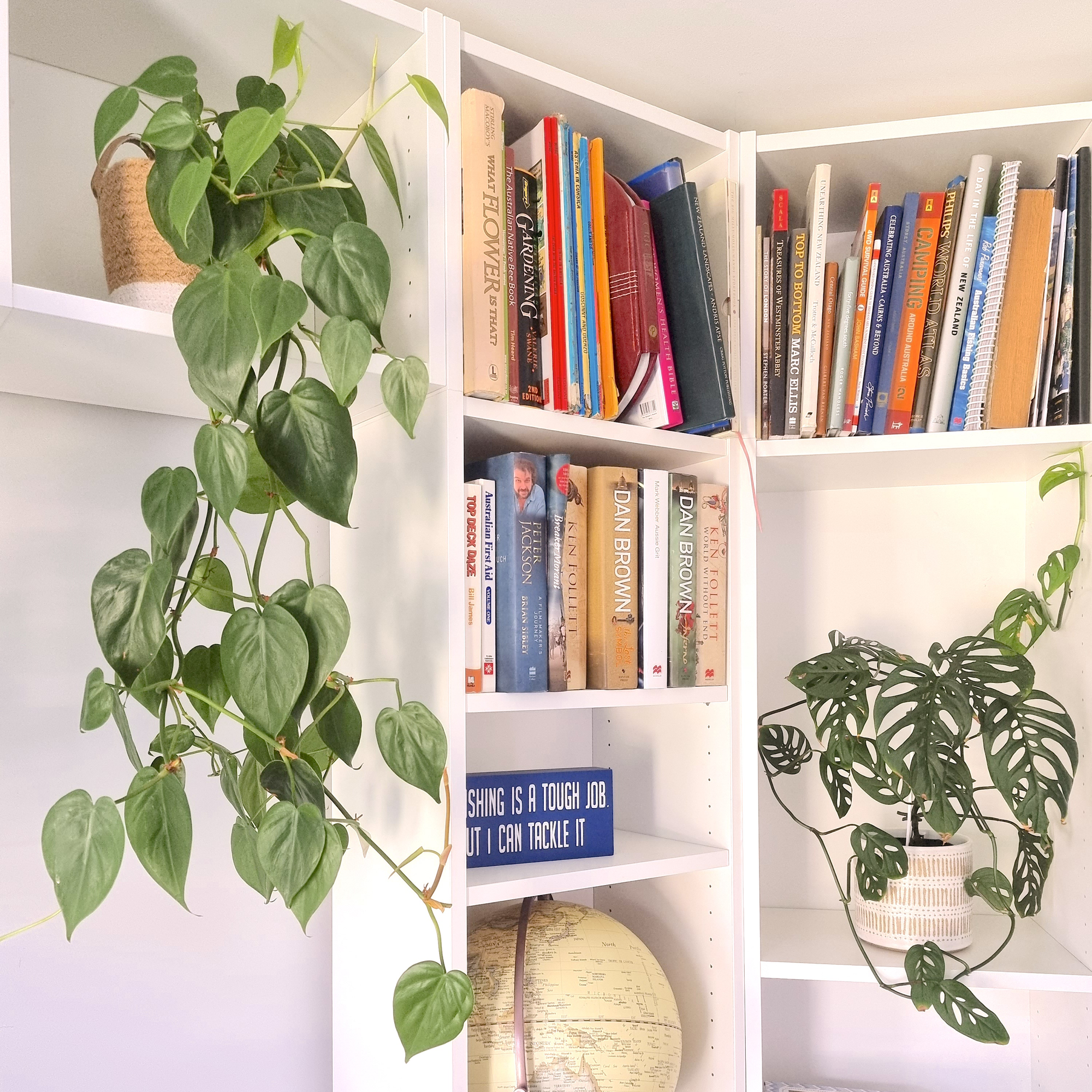 The Power Of Green: Health Benefits Of Indoor Plants For Remote Workers